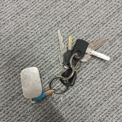 Klucz, zgłoszono przez Arriva West-Brabant przy użyciu iLost