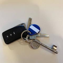 Chave do coche, segundo informou Gemeente Noordwijk usando iLost