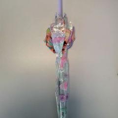 Paraguas, ha sido reportado por Twisto con iLost