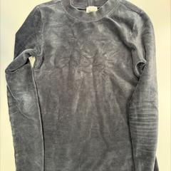 Truitje grijs, ako bolo nahlásené Stad Peer pomocou iLost