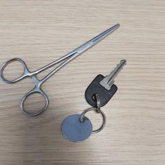 Chave, como reportado por Diakonessenhuis Utrecht utilizando o iLost