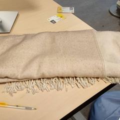 Oblečenie - Sjaal, ako bolo nahlásené Regio West-Vlaanderen pomocou iLost