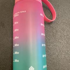 Bouteille à boire Rosa mint, a été signalé par Schönbrunn "Group Center" utilisant iLost