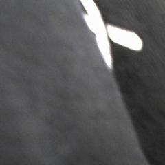 Hoodie, gemeldet von Walibi Holland über iLost