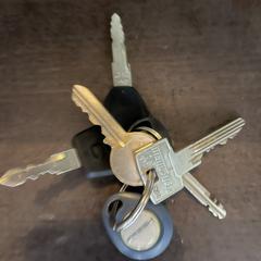 Sleutelbos がiLostに報告されました