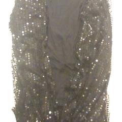 Vestje, segundo informou Koninklijk Theater Carré usando iLost