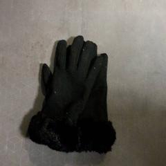 Guants, segons ha informat Transdev Hoeksche Waard Goeree Overflakkee mitjançant iLost