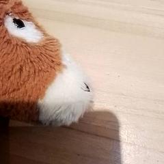 Peluche, como reportado por Beekse Bergen Resorts en Hotel utilizando o iLost