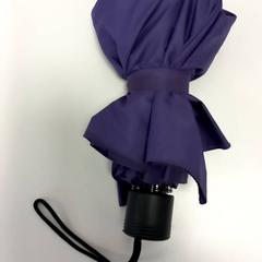 傘 がiLostで Arriva Limburg Zuid によって報告されました