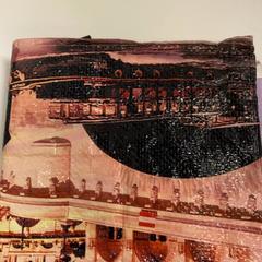 에코백, iLost를 사용하여 IKEA鶴浜에 보고됨