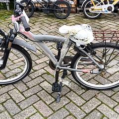 Bicicleta Grijs, como reportado por Stadswerk072 utilizando o iLost