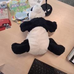 İLost kullanarak IKEA Grenoble tarafından bildirildiği gibi Peluche panda
