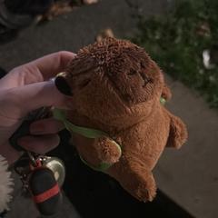 Capibara knuffel met rugzakje، كما تم الإبلاغ عنه عبر iLost