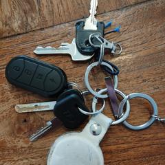 Sleutelbos, as reported to iLost