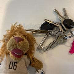 Nøkler, som rapportert av Gemeente Amsterdam - Bureau Gevonden Voorwerpen ved bruk av iLost