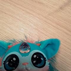 Kuscheltier, gemeldet von Qbuzz Fryslân über iLost