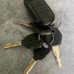 Sleutelbos, som rapportert til iLost