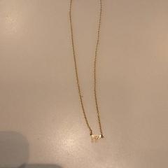 Kettinkje Goud، كما تم الإبلاغ عنه بواسطة LUMC عبر iLost