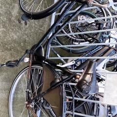 Női kerékpár Zwart, amint azt Stadswerk072 az iLost segítségével jelentette.