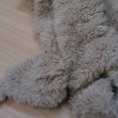 Bufanda, segundo informou Het Spoorwegmuseum usando iLost