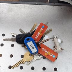 Sleutels / keys, as reported to iLost
