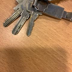 Sleutels, come riportato da Gemeente Amsterdam utilizzando iLost