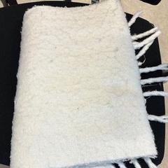 ショール がiLostで ACTA によって報告されました