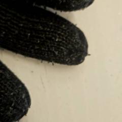 Rękawiczki, zgłoszono przez GVB przy użyciu iLost