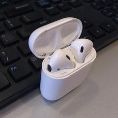 Oordopjes Apple earpods, rapporterat av Walibi Holland med iLost