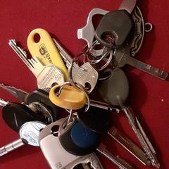 Sleutelbos, ako bolo nahlásené iLost