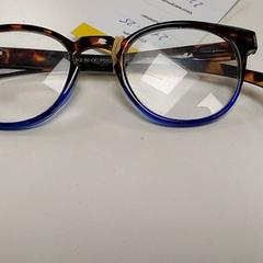 النظارات -leesbril، كما تم الإبلاغ عنه بواسطة Centraal magazijn عبر iLost