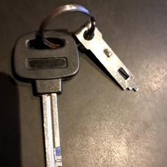 Brelok do kluczy, zgłoszono przez TivoliVredenburg przy użyciu iLost