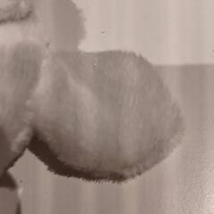 Peluche, ha sido reportado por De Efteling con iLost