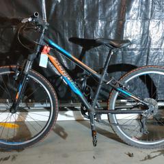 Bicicleta, segons ha informat Gemeente Nijkerk mitjançant iLost