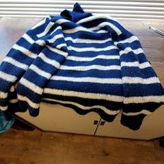 Camisola Blauw wit gestreept, como reportado por Connexxion Haarlem IJmond utilizando o iLost