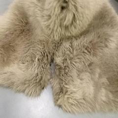 Cobertura de colarinho nep bont, como reportado por Qbuzz GD Groningen HS utilizando o iLost