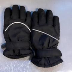 Rukavice, ako bolo nahlásené Diergaarde Blijdorp pomocou iLost