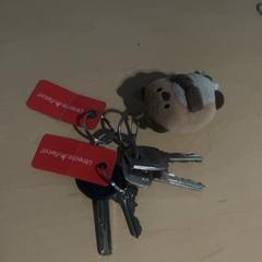 키체인 Met beestje eraan, iLost를 사용하여 Jaarbeurs에 보고됨