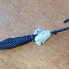 Ombrello -  zwart, come riportato da Centraal magazijn utilizzando iLost