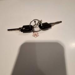 Fahrradschlüssel, gemeldet von IJsselland Ziekenhuis über iLost