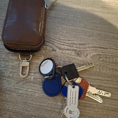 Sleutelbos in een bruin mapje がiLostに報告されました