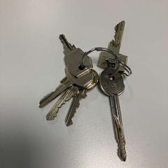 キーホルダー がiLostで Gemeente Ede によって報告されました