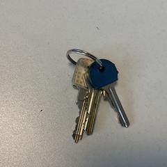 Nøkkelring, som rapportert av Breng Arnhem ved bruk av iLost