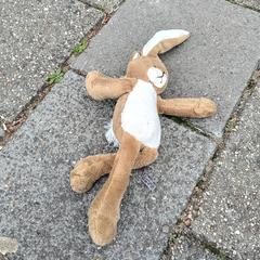 Knuffelkonijn Bunny Friend, amint azt az iLostnak jelentették.