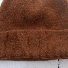 Muts Bruin، كما تم الإبلاغ عنه بواسطة DierenPark Amersfoort عبر iLost