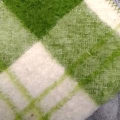 سجادة groen geruit، كما تم الإبلاغ عنه بواسطة Arriva Friesland / Groningen عبر iLost