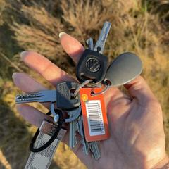 sleutelbos, iLost-i jakinarazi zaion moduan