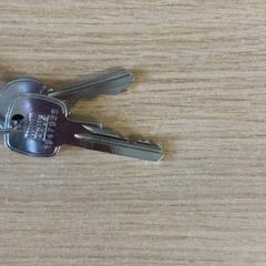 Chiave, come riportato da Keukenhof utilizzando iLost