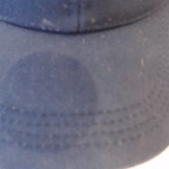 Gorra de beisbol, ha sido reportado por Walibi Holland con iLost