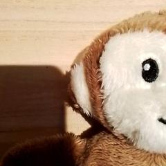 Przytulanka Aap, zgłoszono przez Beekse Bergen Resorts en Hotel przy użyciu iLost